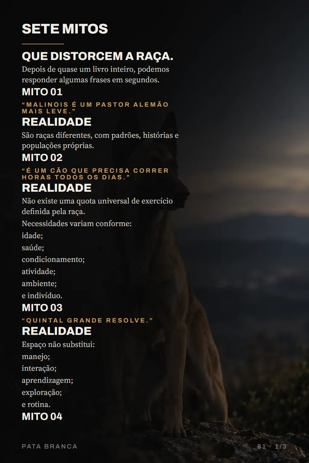 Página do guia: Cap. 12 — Sete mitos que distorcem a raça.